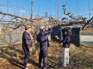 보성군, 전통차 체험관광 지원...농업유산 알리기 앞장 - 뉴스 썸네일 이미지