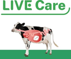 유라이크코리아, AI기반 가축 행동분석 시스템 기술로 미국 특허 획득 - 뉴스 썸네일 이미지