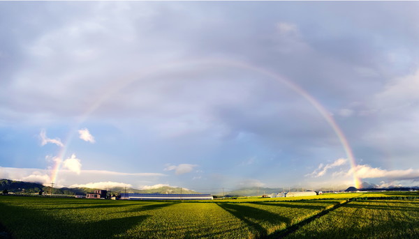 [신년 1특집] 살기 좋은 농산어촌시대를 열다 ① 농산어촌에 희망의 불... - 뉴스 썸네일 이미지