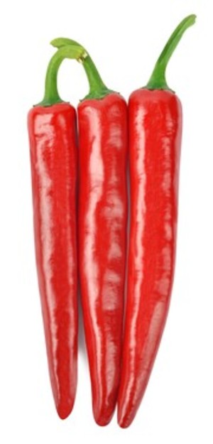 고추, 질병에 강하고 안정적 작황 위한 내병성 품종 선호 - 뉴스 썸네일 이미지