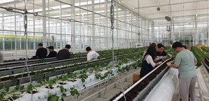 스마트농업 우수기업 15개사 선정...정책 지원 제공 - 뉴스 썸네일 이미지