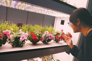 [Issue+] 스마트팜의 현재와 미래를 보다 - 2026 스마트팜코리아 - 뉴스 썸네일 이미지