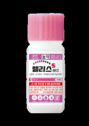 [기획] 고온다습한 여름 예고에 탄저병 '비상'...단계적 방제 필요 - 뉴스 썸네일 이미지