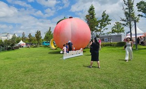 118년 <b>조치원복숭아</b>, 세종의 여름<b>축제</b>로 막 올렸다