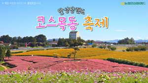 코스목동 축제